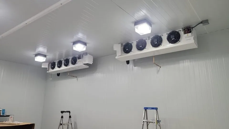 Interior of a commercial walk-in cooler with ceiling-mounted evaporator units