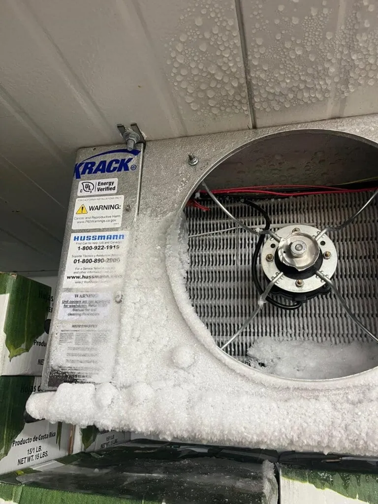 Problemas de humedad en supermercados 3